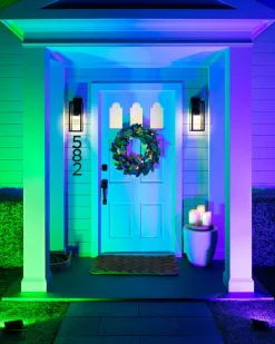 Online Outdoor LED Multicolor Flood Lights Decorative Accents|Outdoor Safe