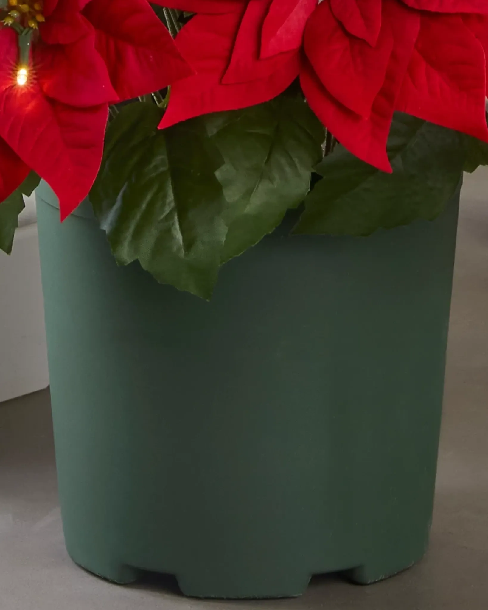 Clearance Outdoor Lit Poinsettia Celebration Foliage 18 - 24 Inch|26 - 28 Inch