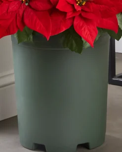 Clearance Outdoor Lit Poinsettia Celebration Foliage 18 - 24 Inch|26 - 28 Inch