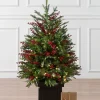 Clearance Outdoor Red Berry Evergreen Potted Trees Outdoor Safe