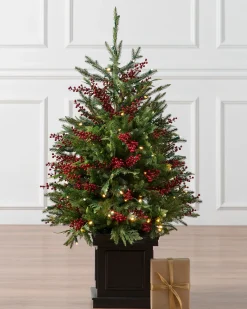 Clearance Outdoor Red Berry Evergreen Potted Trees Outdoor Safe