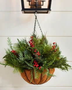 Online Outdoor Red Berry Pine Foliage 18 - 24 Inch|Pre-Lit