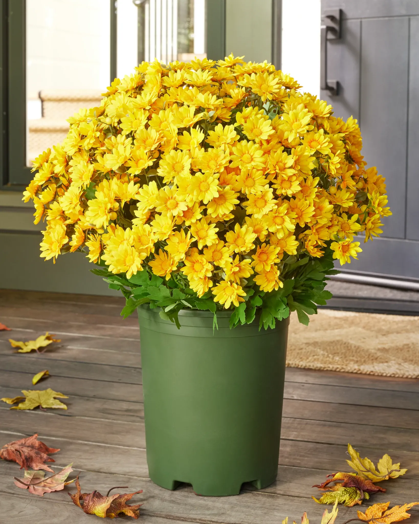 Outdoor Sunset Mums Foliage Garlands|Outdoor Safe