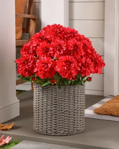 Clearance Outdoor Vibrant Dahlias Foliage Topiaries & Potted Flowers|Topiaries & Potted Flowers