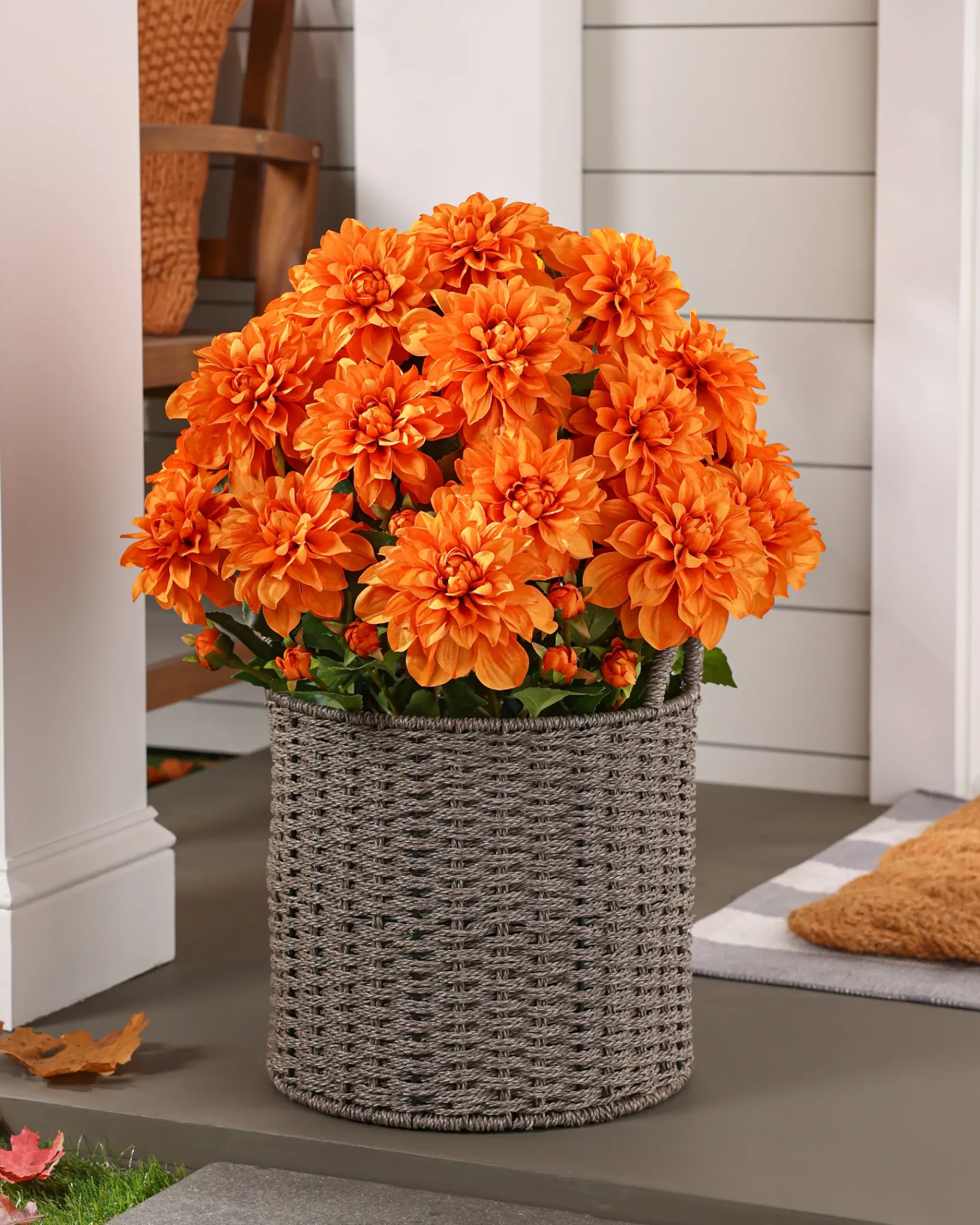 Clearance Outdoor Vibrant Dahlias Foliage Topiaries & Potted Flowers|Topiaries & Potted Flowers