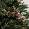 Sale Pinecone Christmas Tree Picks Picks