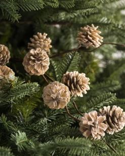 Sale Pinecone Christmas Tree Picks Picks