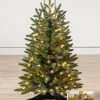 Best Poconos Pine Mini Trees Tabletop & Accent Trees