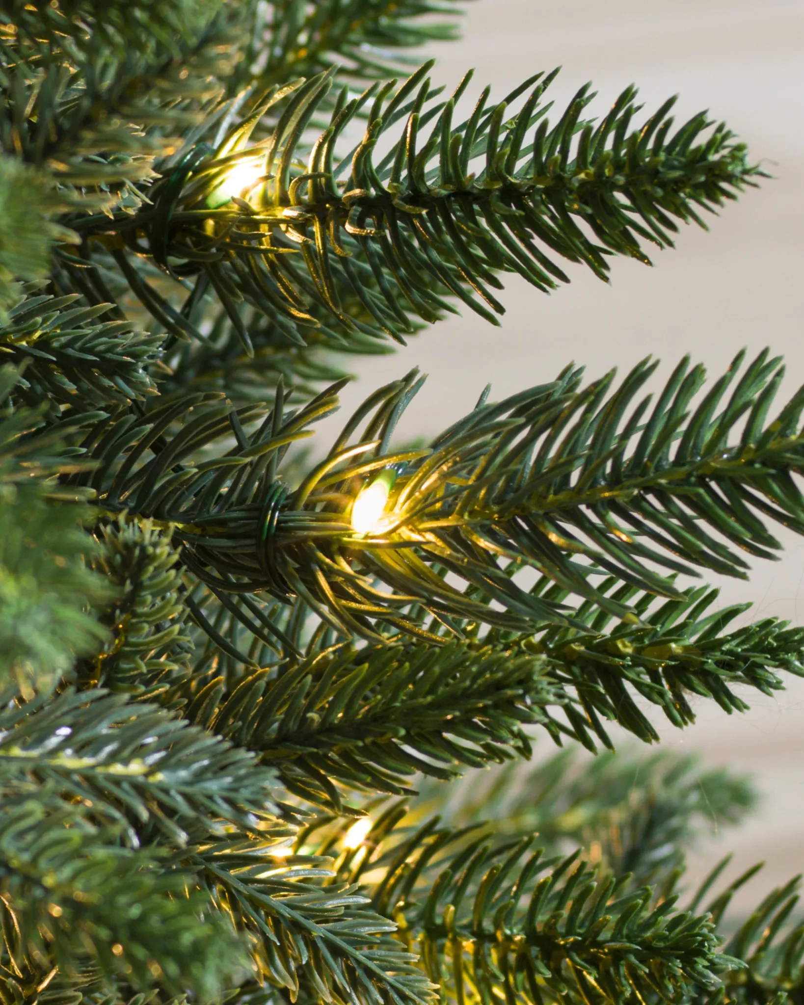 Best Poconos Pine Mini Trees Tabletop & Accent Trees