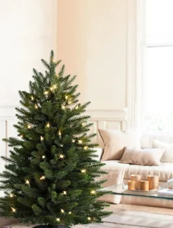 Best Poconos Pine Mini Trees Tabletop & Accent Trees