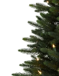 Best Poconos Pine Mini Trees Tabletop & Accent Trees