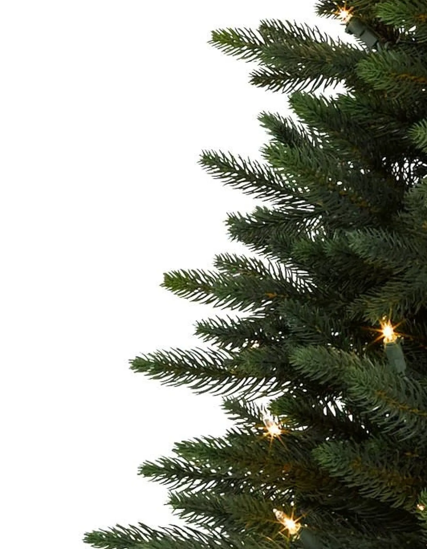 Best Poconos Pine Mini Trees Tabletop & Accent Trees