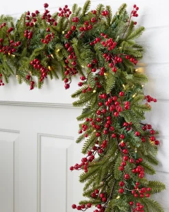 Hot Red Berry BH Fraser Fir® Foliage 30 - 42 Inch|5 - 7 Feet