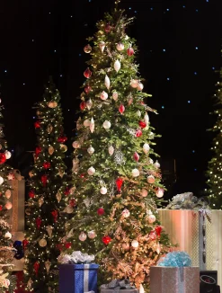Clearance Red Spruce Trees 7 - 7.5 Feet|Pre-Lit