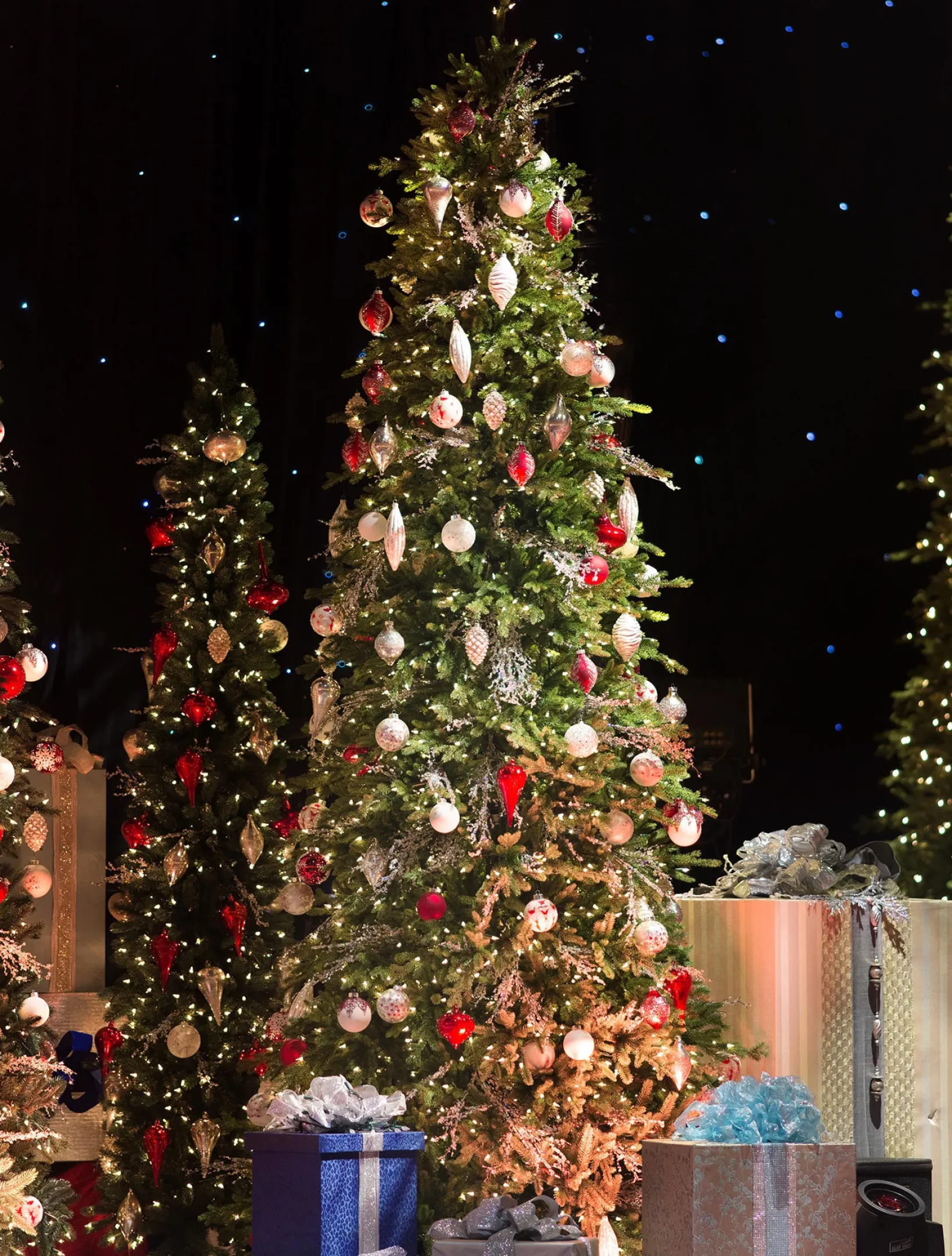 Clearance Red Spruce Trees 7 - 7.5 Feet|Pre-Lit