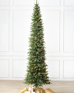 Sale Revelstoke Fir® Trees 7 - 7.5 Feet|8 - 9 Feet