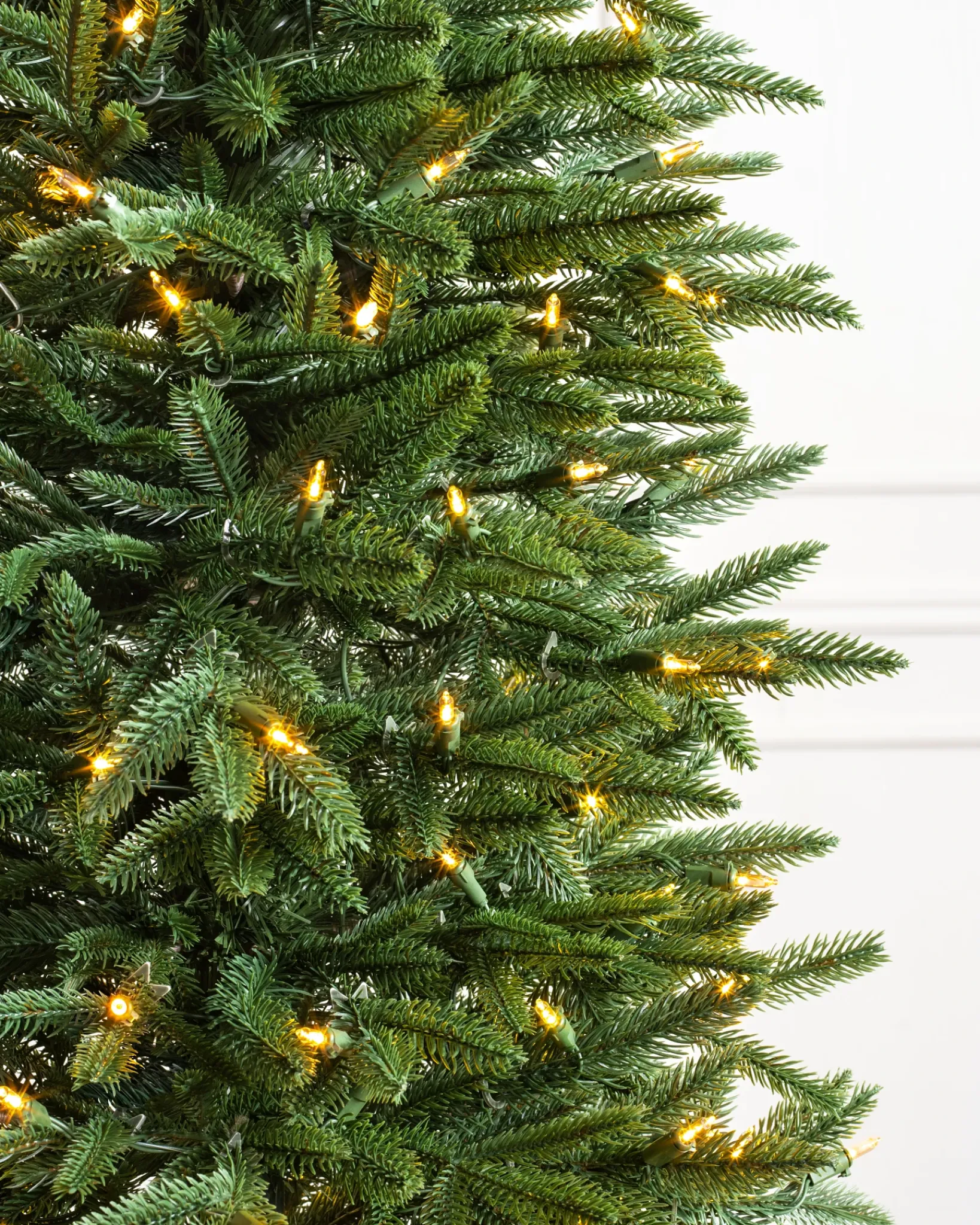 Sale Revelstoke Fir® Trees 7 - 7.5 Feet|8 - 9 Feet