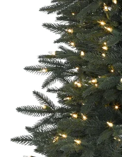 Sale Revelstoke Fir® Trees 7 - 7.5 Feet|8 - 9 Feet