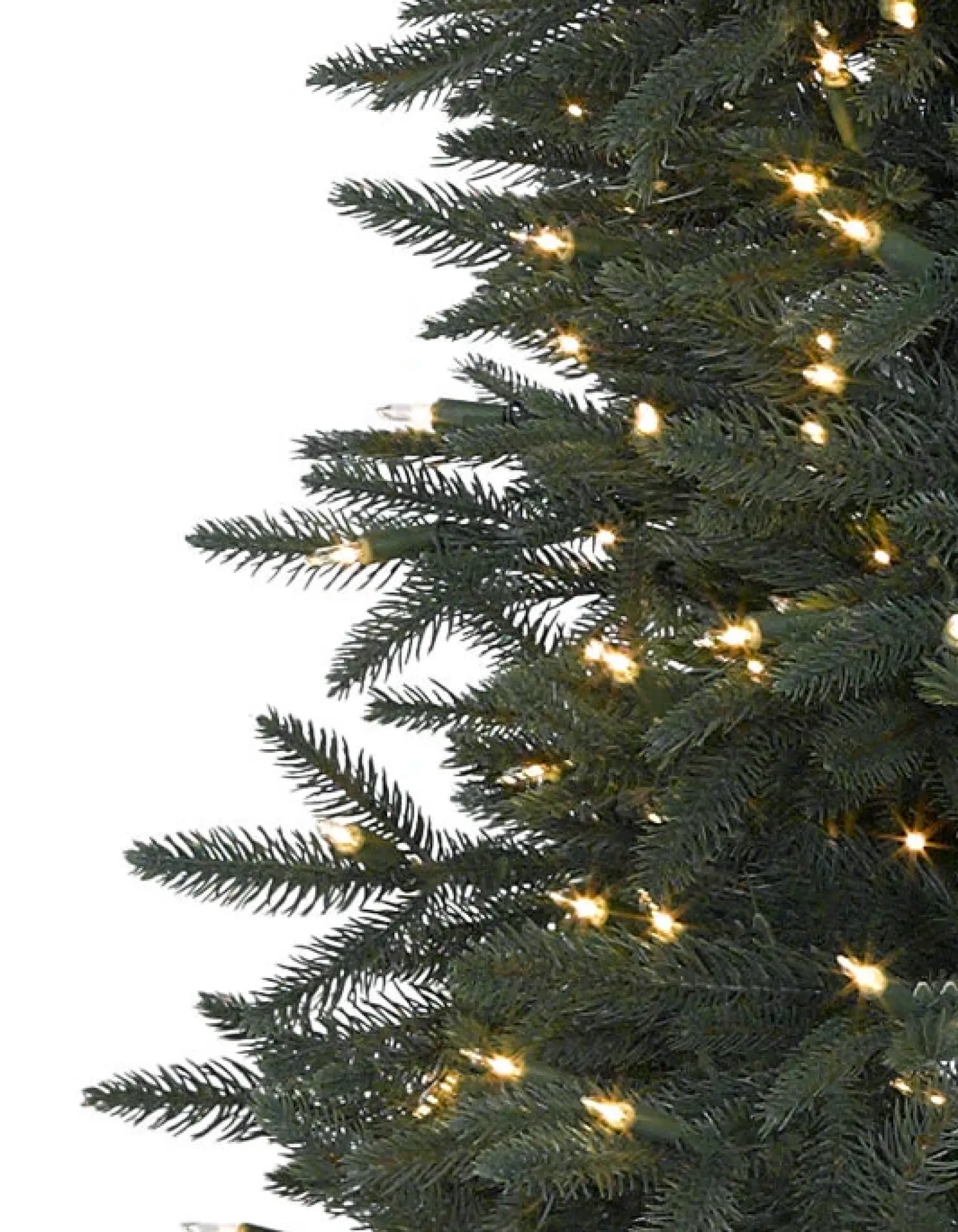 Sale Revelstoke Fir® Trees 7 - 7.5 Feet|8 - 9 Feet