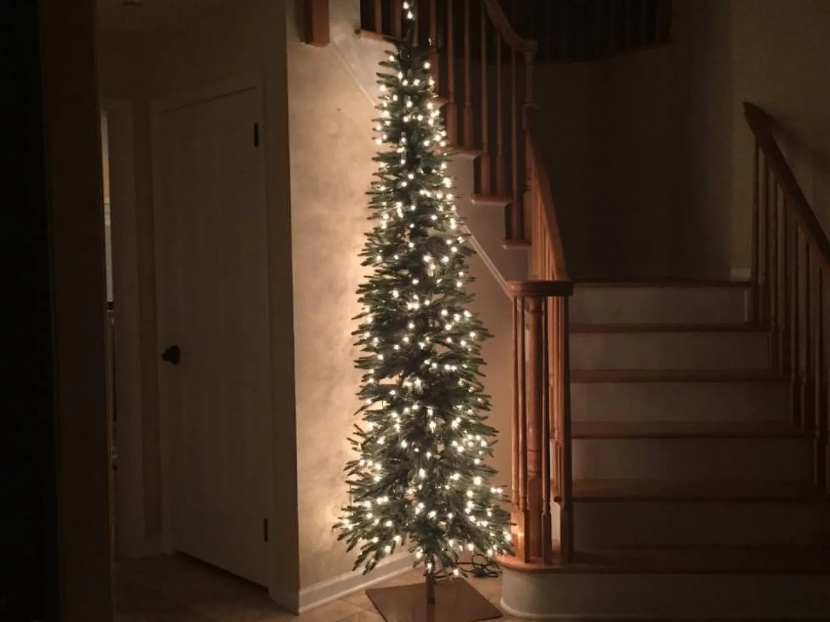 Sale Revelstoke Fir® Trees 7 - 7.5 Feet|8 - 9 Feet