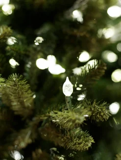 Outlet Rockefeller Pine Trees 15 - 30 Feet|Pre-Lit