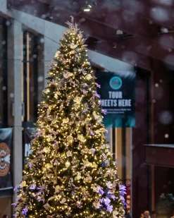 Outlet Rockefeller Pine Trees 15 - 30 Feet|Pre-Lit