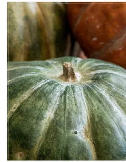 Online Rustic Heirloom Pumpkins Decorative Accents