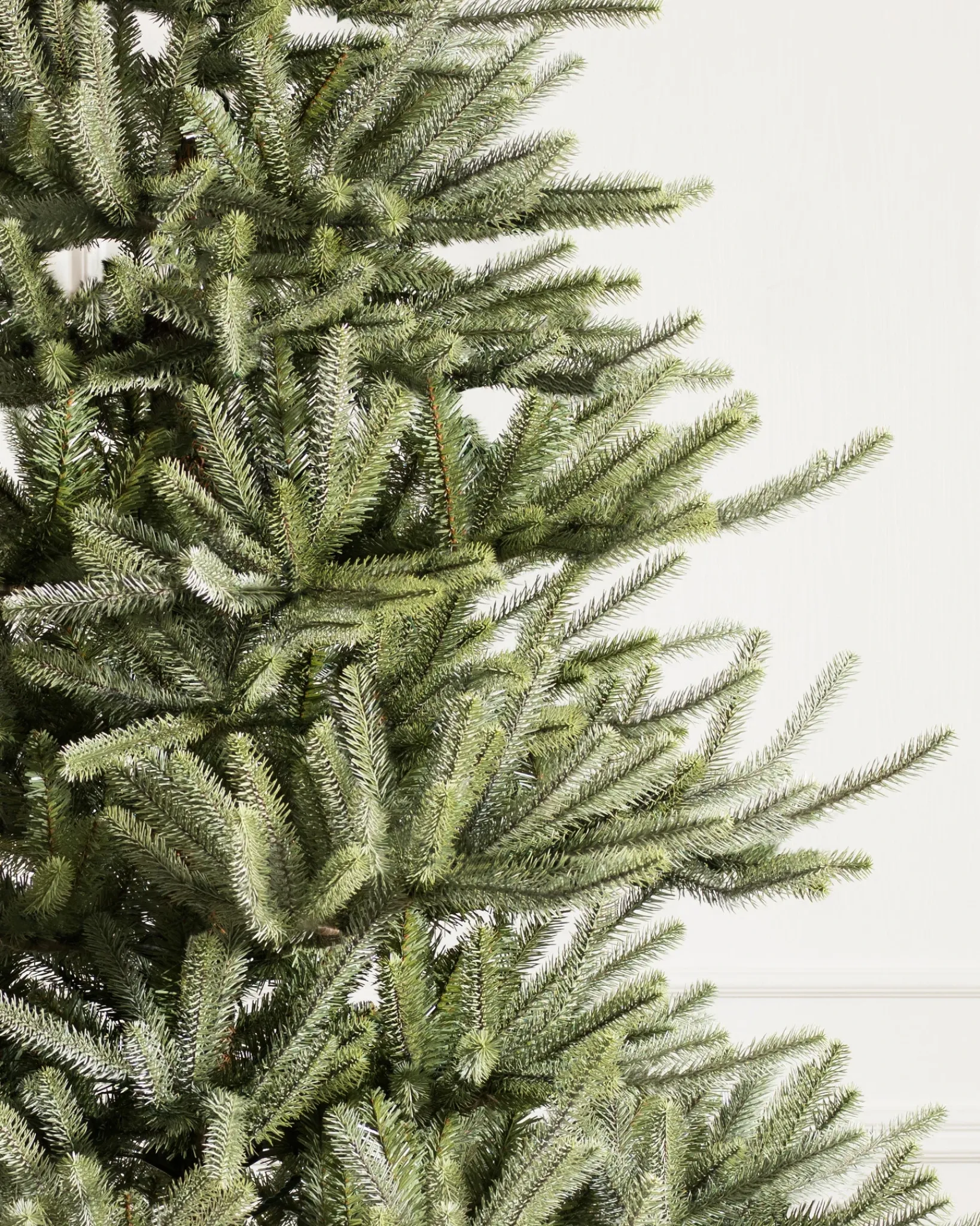 Hot Sanibel Spruce Trees 7 - 7.5 Feet|Pre-Lit