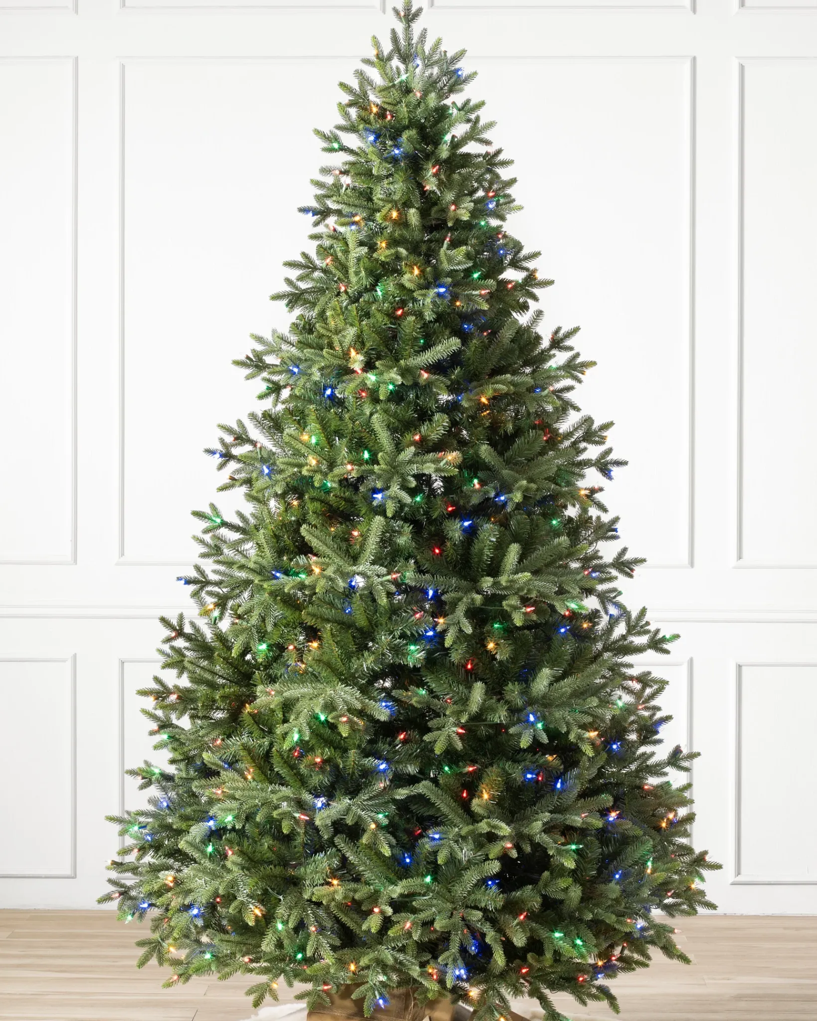 Online Saratoga Spruce Trees 7 - 7.5 Feet|6 - 6.5 Feet