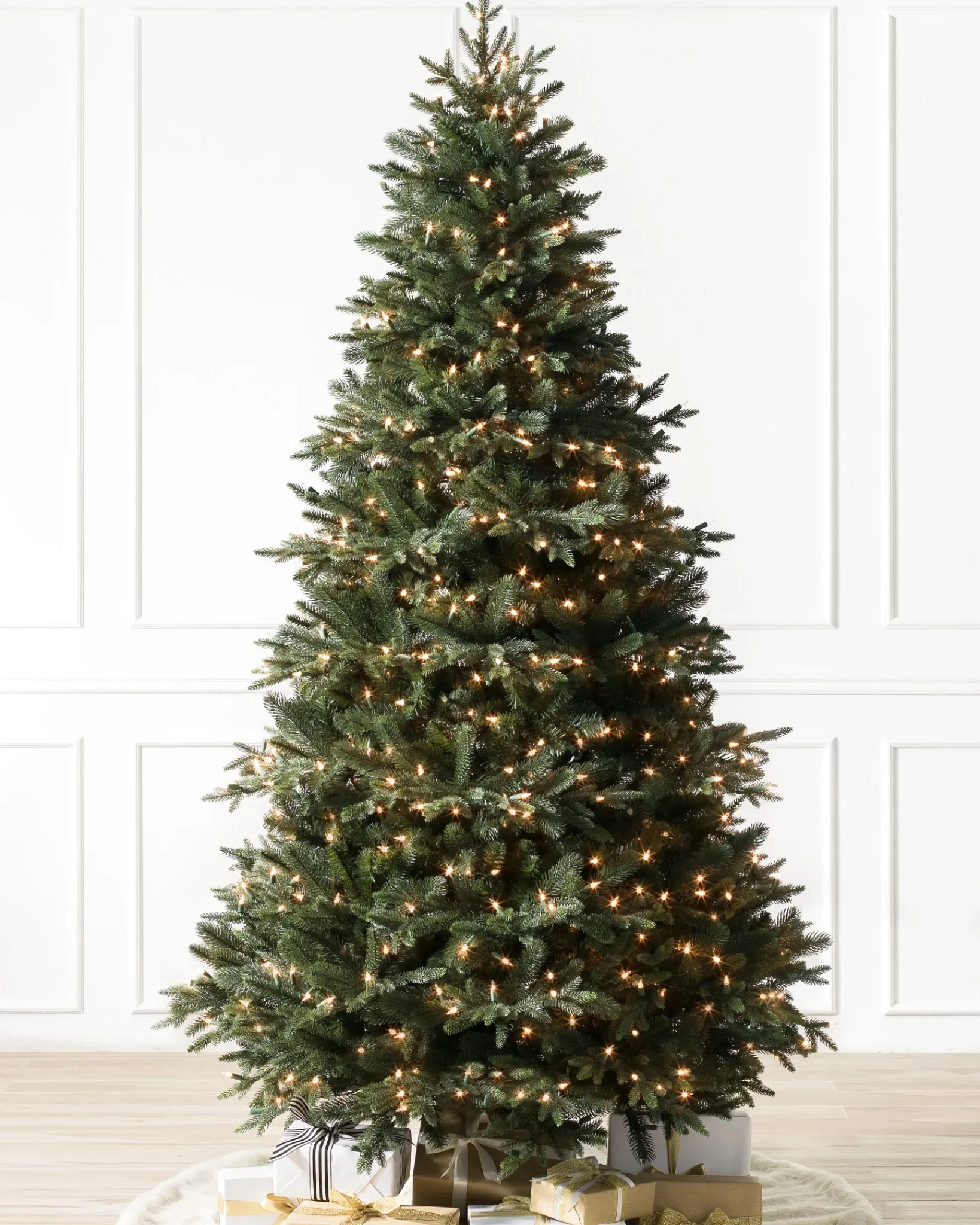 Online Saratoga Spruce Trees 7 - 7.5 Feet|6 - 6.5 Feet