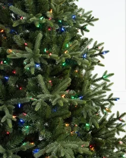 Online Saratoga Spruce Trees 7 - 7.5 Feet|6 - 6.5 Feet