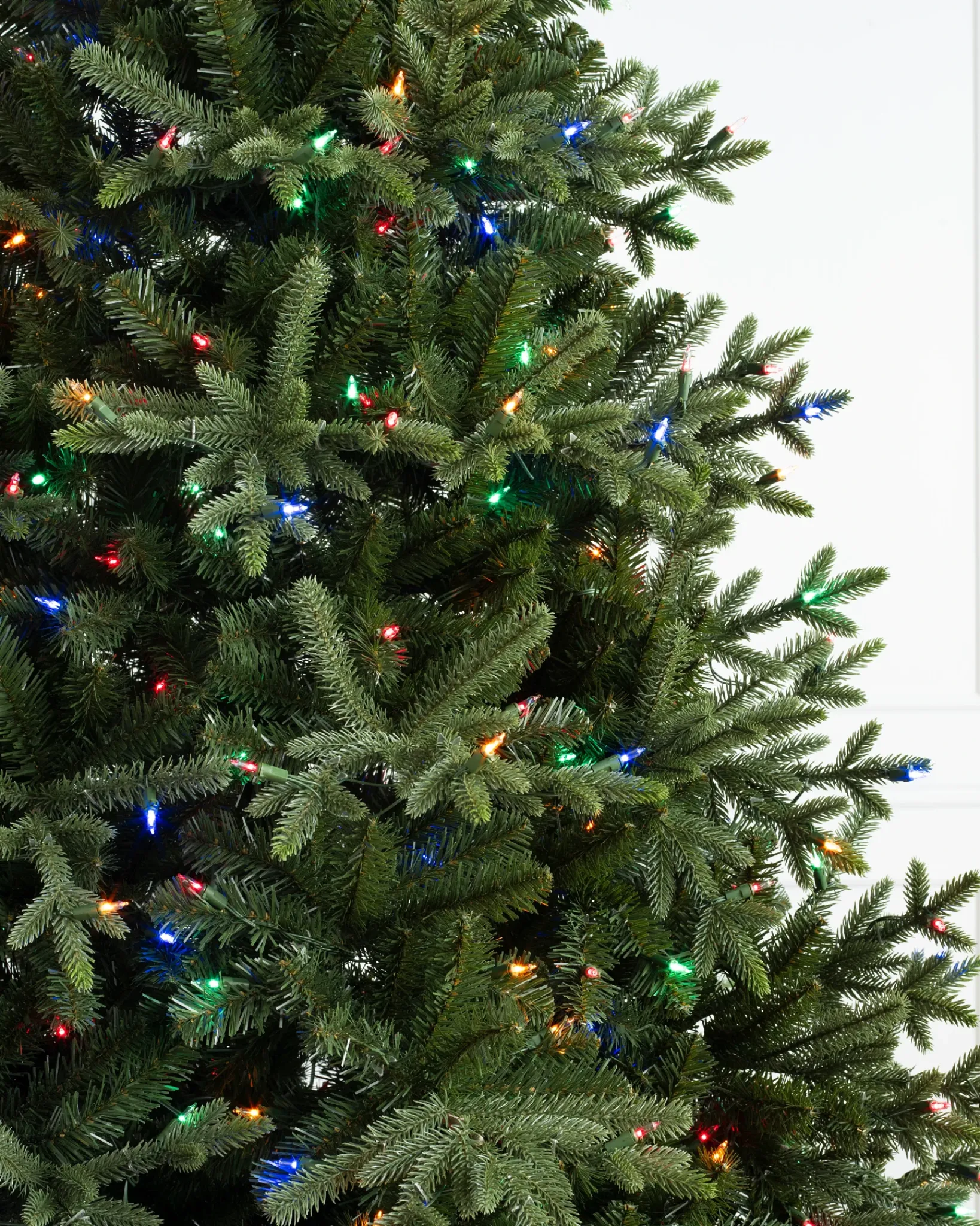 Online Saratoga Spruce Trees 7 - 7.5 Feet|6 - 6.5 Feet