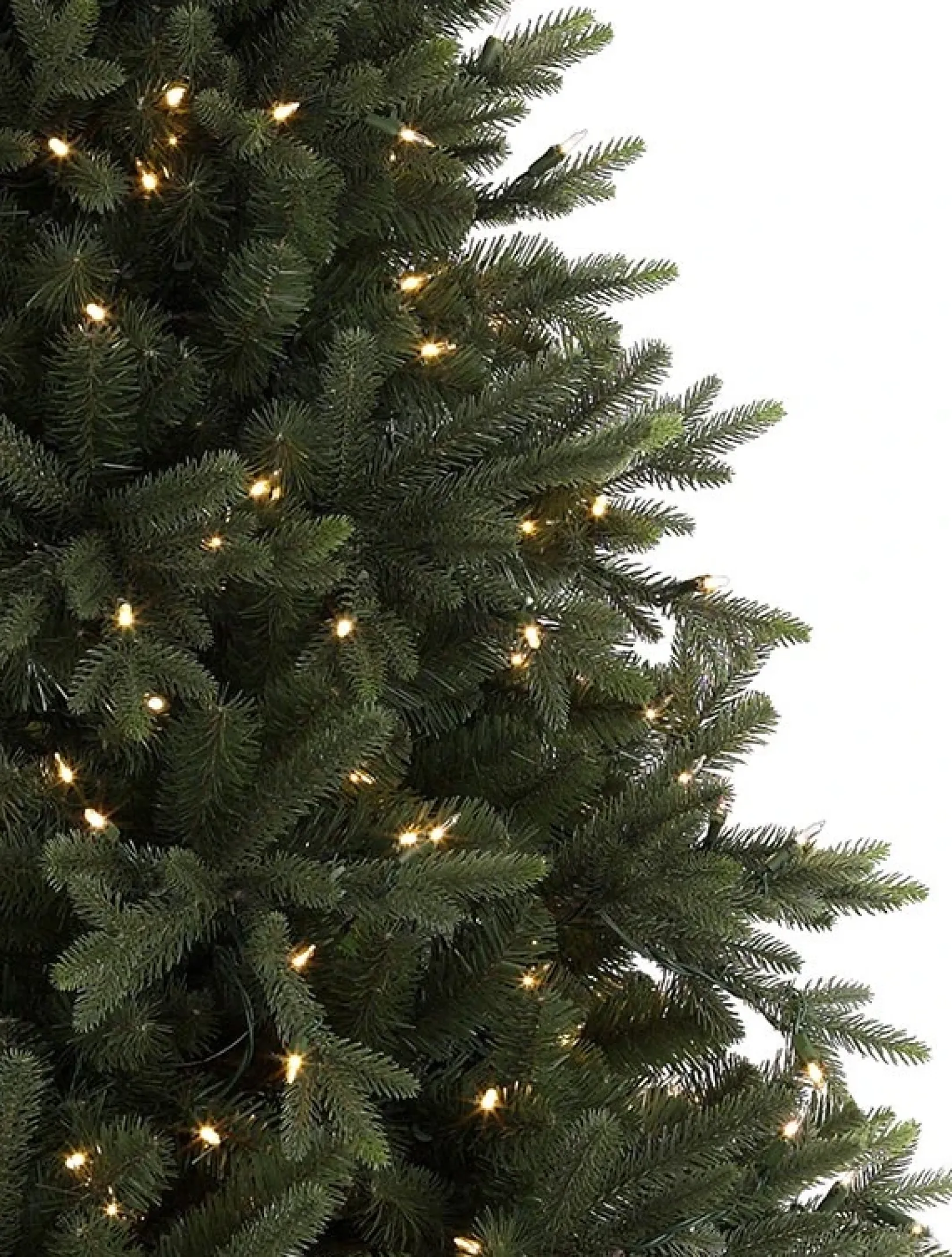 Online Saratoga Spruce Trees 7 - 7.5 Feet|6 - 6.5 Feet