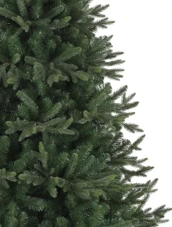 Online Saratoga Spruce Trees 7 - 7.5 Feet|6 - 6.5 Feet