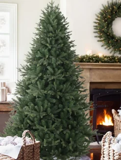 Online Saratoga Spruce Trees 7 - 7.5 Feet|6 - 6.5 Feet