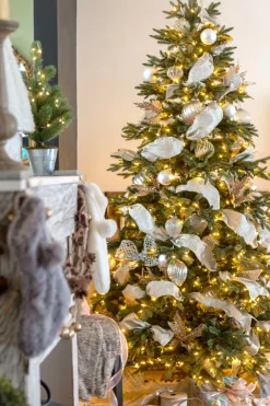 Online Saratoga Spruce Trees 7 - 7.5 Feet|6 - 6.5 Feet