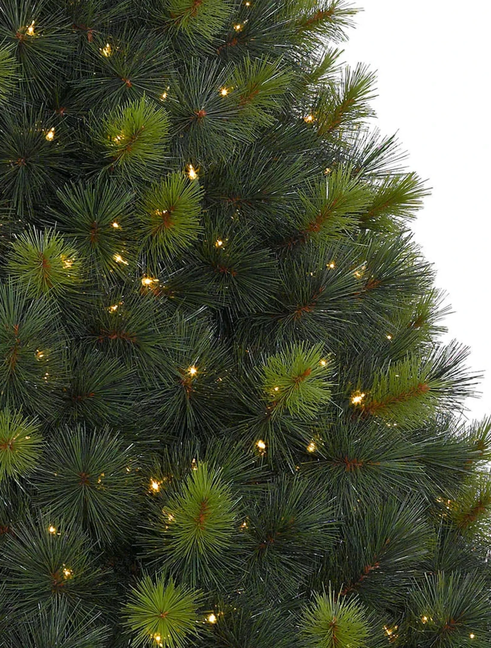 Online Scotch Pine Trees 7 - 7.5 Feet|Pre-Lit