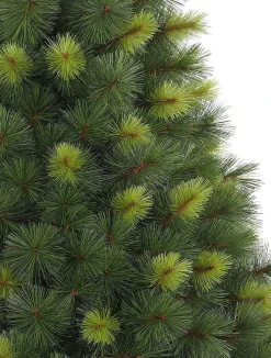 Online Scotch Pine Trees 7 - 7.5 Feet|Pre-Lit