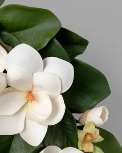 Hot Spring Magnolia Foliage Flower Arrangements|Topiaries & Potted Flowers