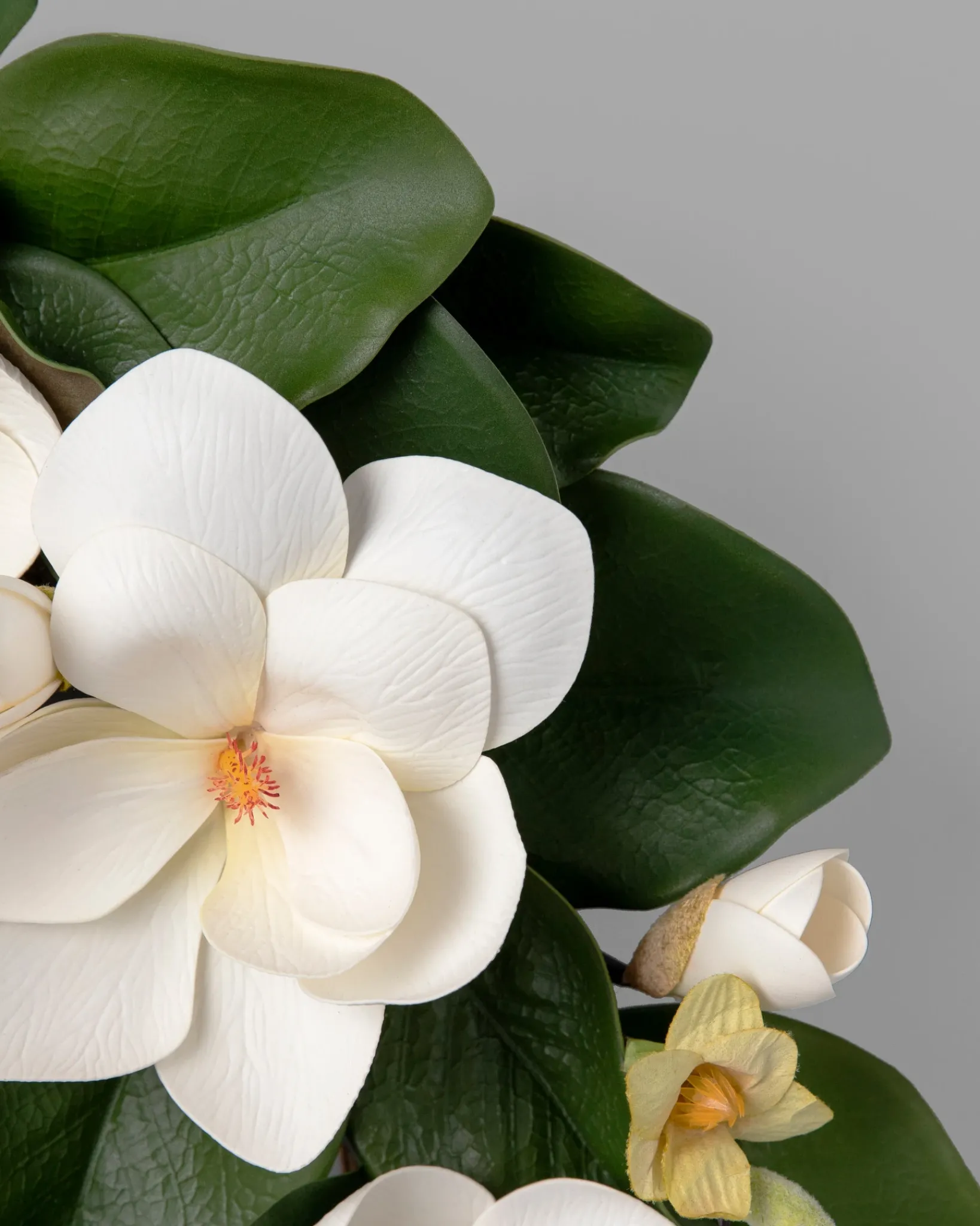 Hot Spring Magnolia Foliage Flower Arrangements|Topiaries & Potted Flowers