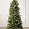 Sale Stratford Spruce Trees 7 - 7.5 Feet|6 - 6.5 Feet