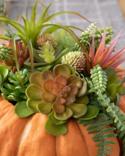 New Succulent Harvest Pumpkin Foliage Topiaries & Potted Flowers|Swags & Hanging Baskets