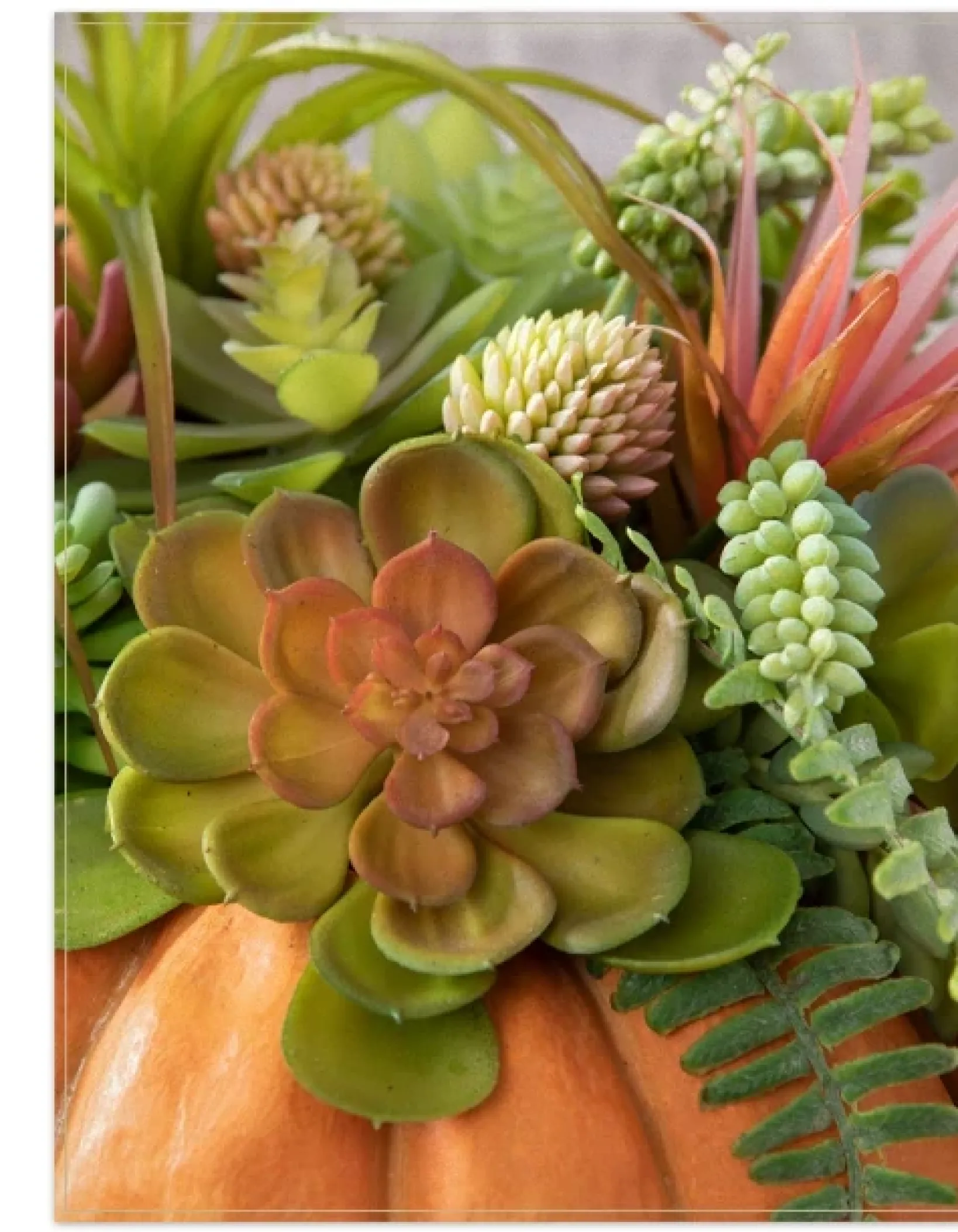 New Succulent Harvest Pumpkin Foliage Topiaries & Potted Flowers|Swags & Hanging Baskets