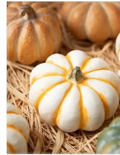 Outlet Tabletop Heirloom Pumpkins Decorative Accents