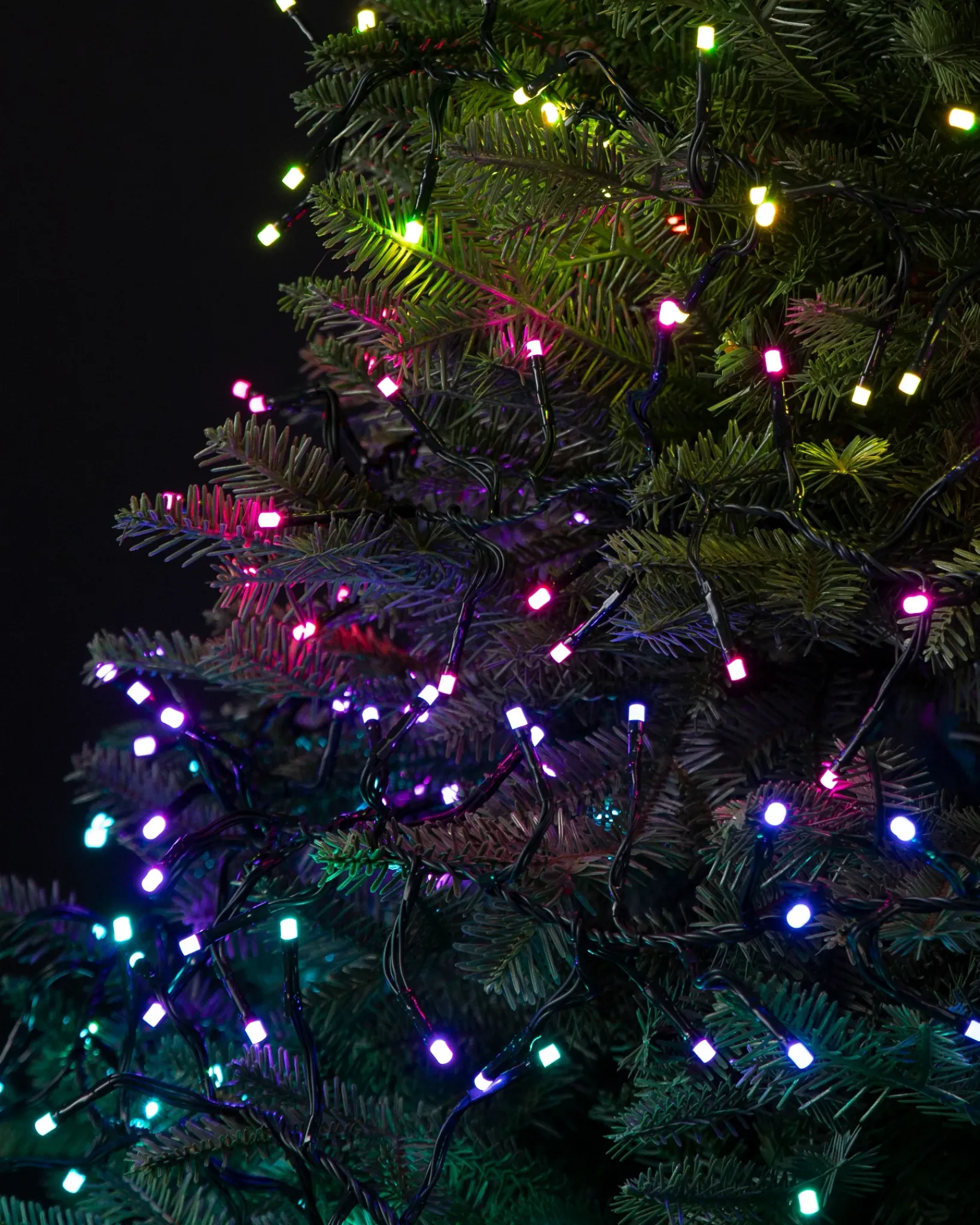 Sale Twinkly® Light Strings Lights|Lighting & Lanterns