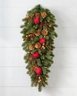 Outlet Vermont White Spruce Bordeaux Foliage 26 - 28 Inch|Indoor
