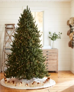 Hot Vermont White Spruce® ReNEW™ 7 - 7.5 Feet|Pre-Lit