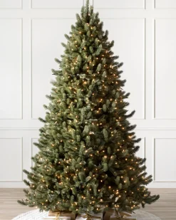 Hot Vermont White Spruce® ReNEW™ 7 - 7.5 Feet|Pre-Lit