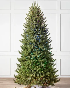 Best Vermont White Spruce® Trees 7 - 7.5 Feet|Pre-Lit