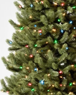 Best Vermont White Spruce® Trees 7 - 7.5 Feet|Pre-Lit